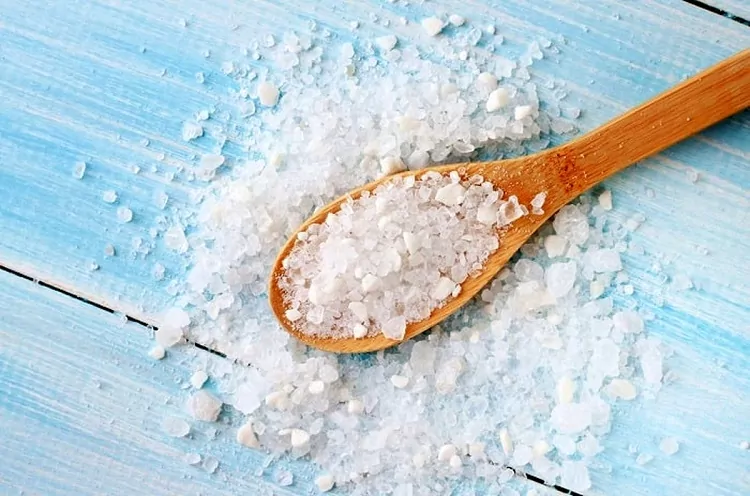 تمیز کردن اتو بخار با نمک