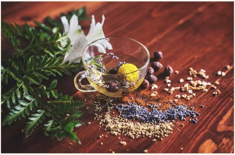 معجون چاقی بوعلی