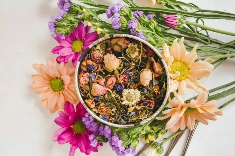 موارد مصرف و منع مصرف معجون چاقی بوعلی به چه صورت است؟