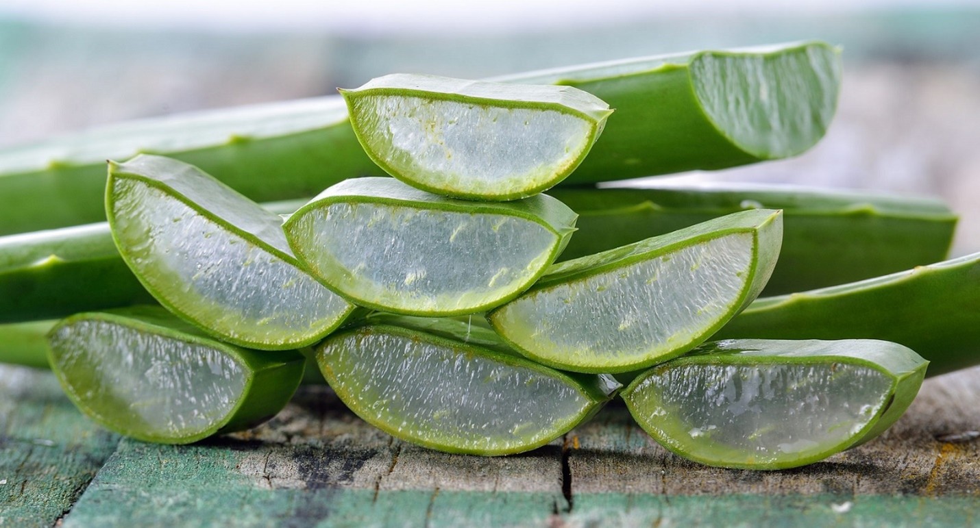 خواص ژل آلوئه ورا برای پوست
